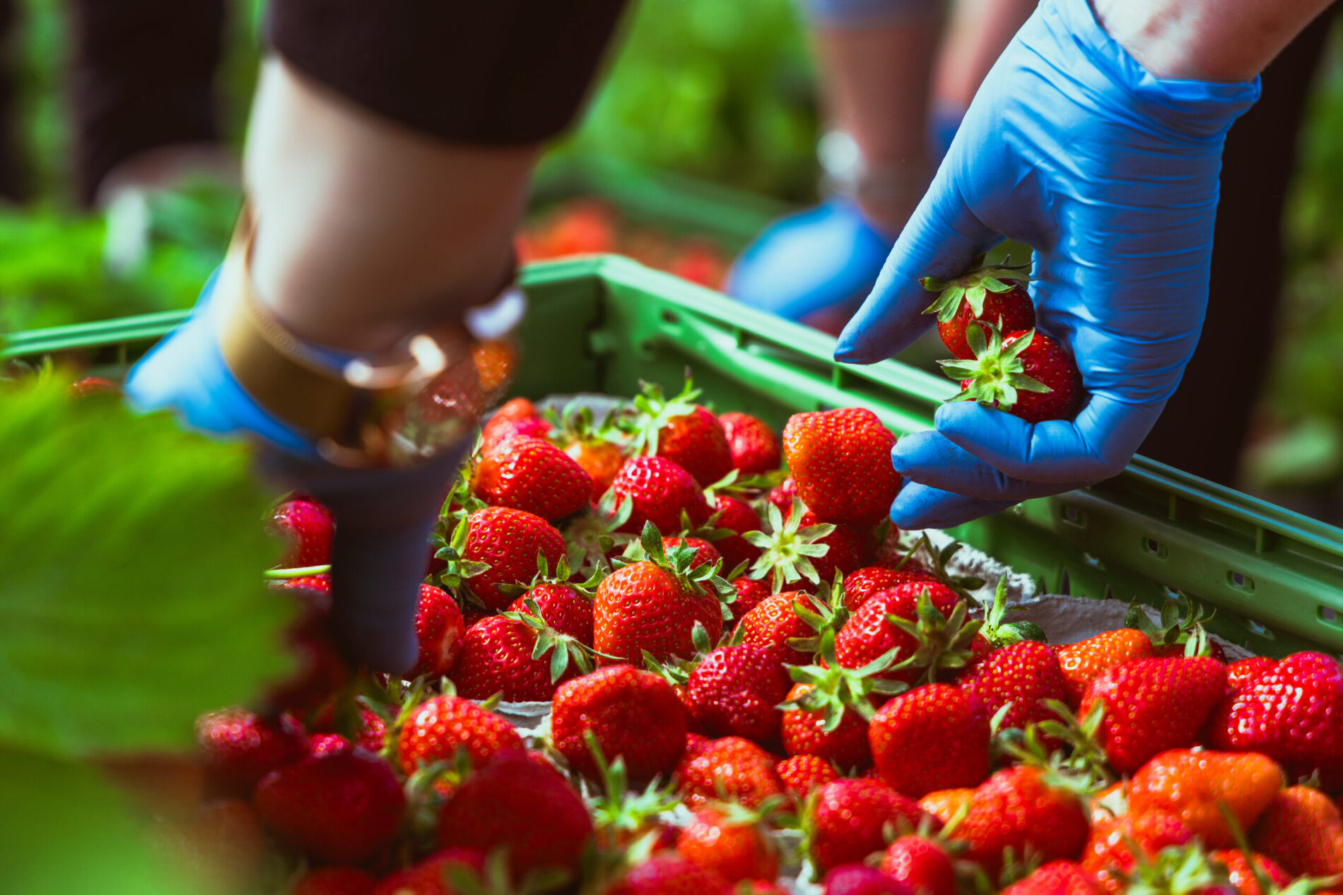 Medienzunft Berlin – stock.adobe.com